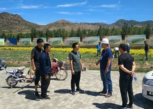 萬和前行一路有你--優(yōu)秀員工巡禮                      ——之勤勉務(wù)實王鶴