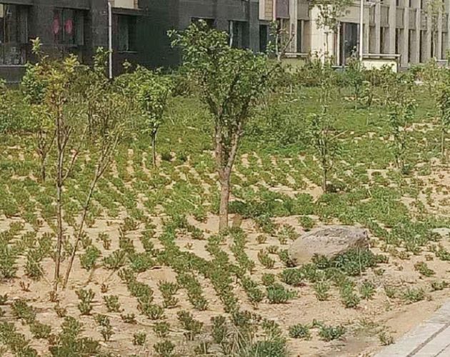 包頭棚戶區(qū)改造,住宅及社區(qū)內(nèi)道路、園林綠化、亮化工程